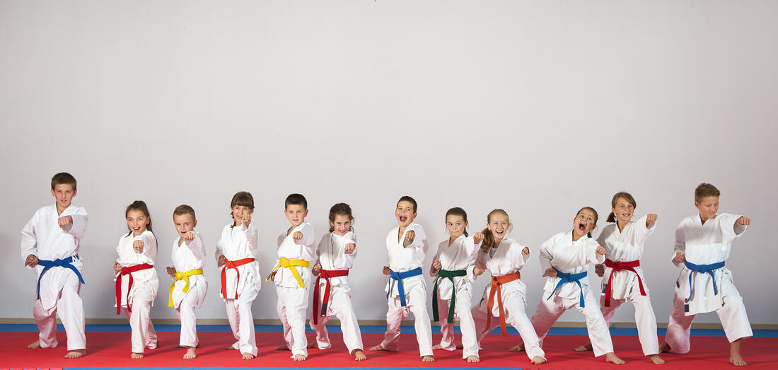 Barn på karate